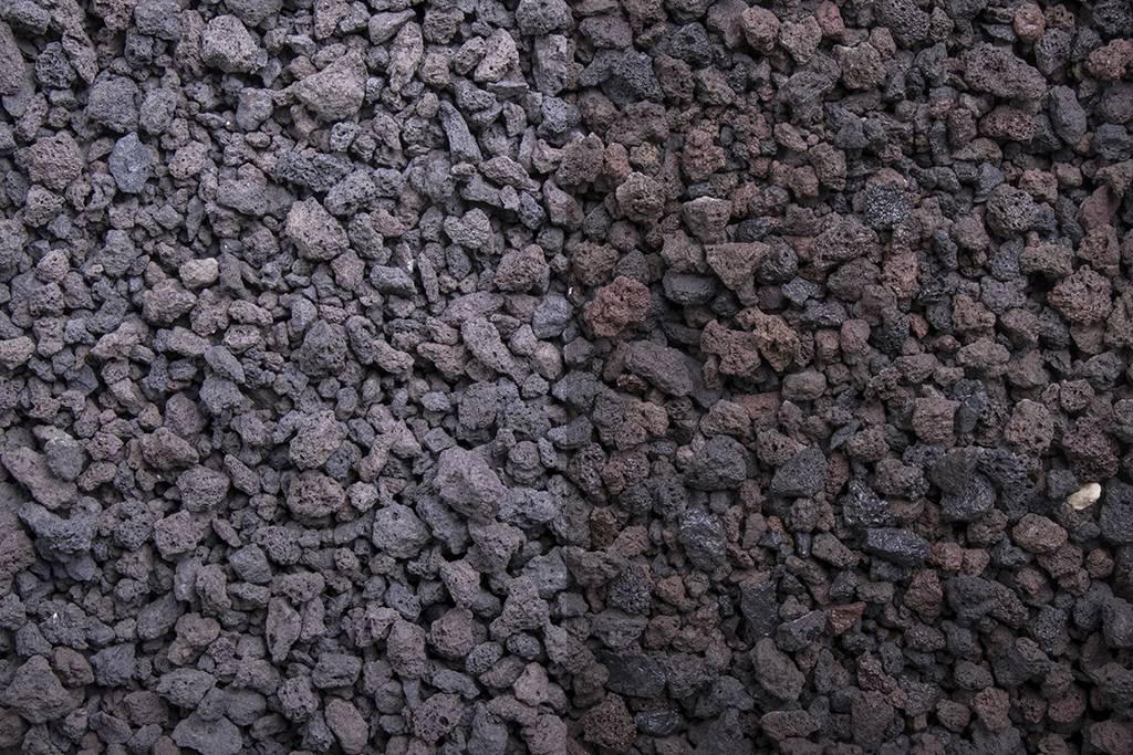 1269_0203384875.JPG