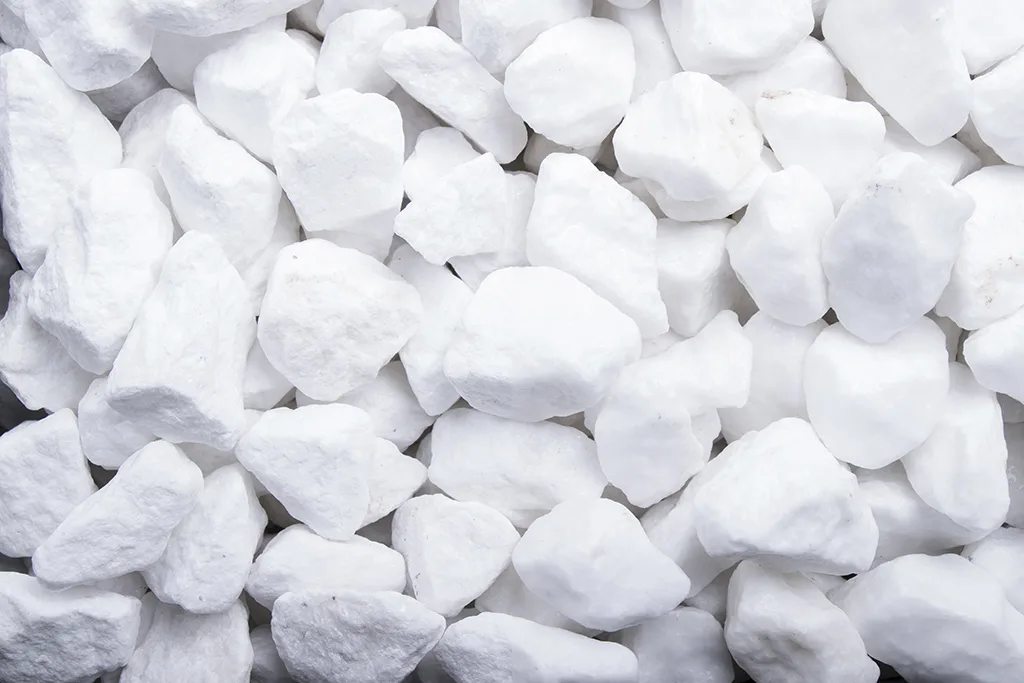 Schneeweiss, 16-25 Schneeweiss, 16-25