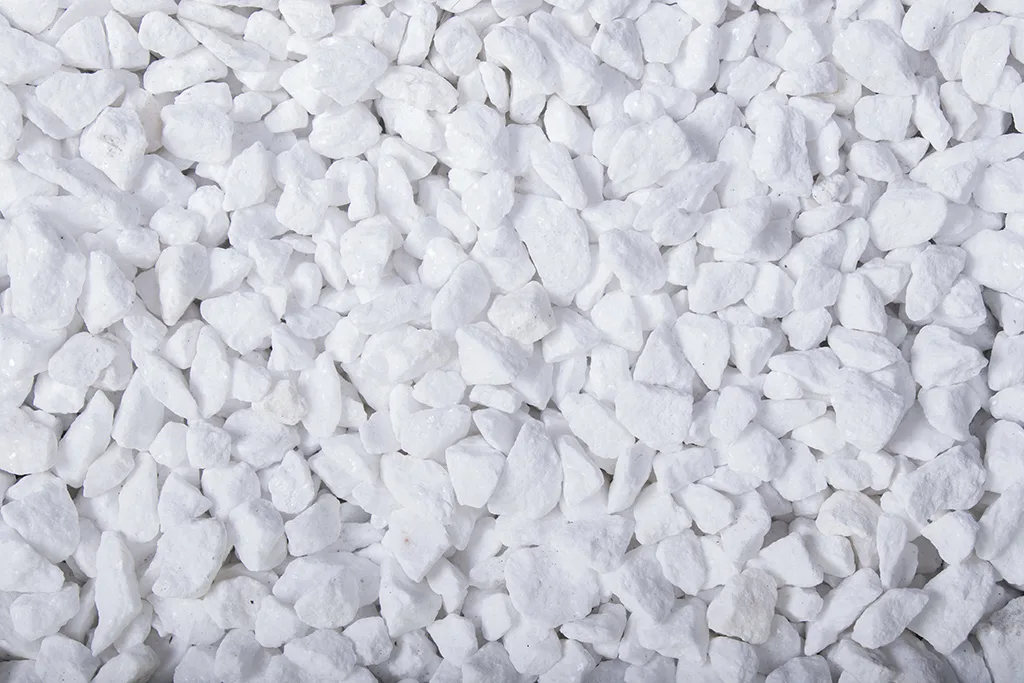 Schneeweiss, 8-12