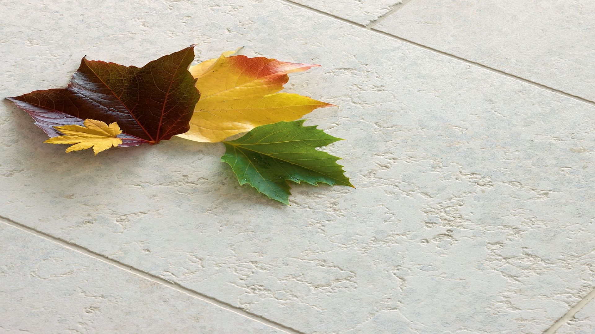 2008_Y0003WFT2C.JPG