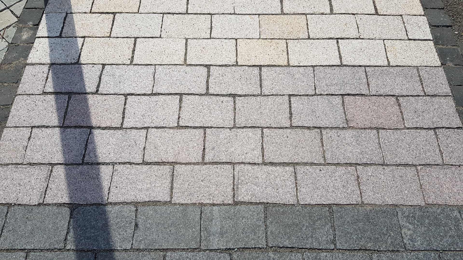 202_Y00046U44C.JPG
