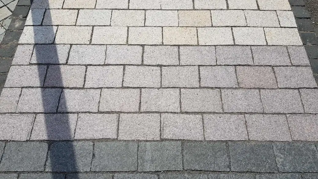 202_Y00046U44C.JPG