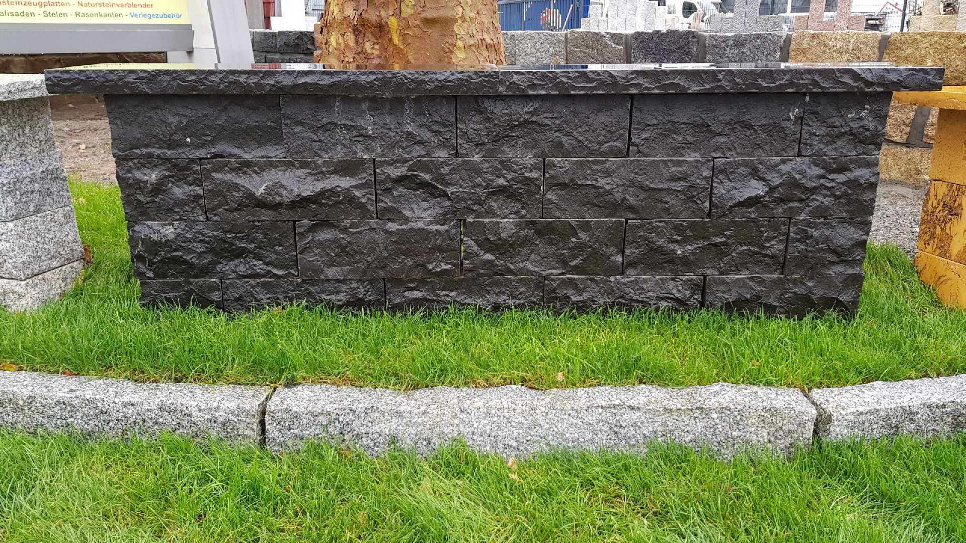 2631_0190018776.JPG