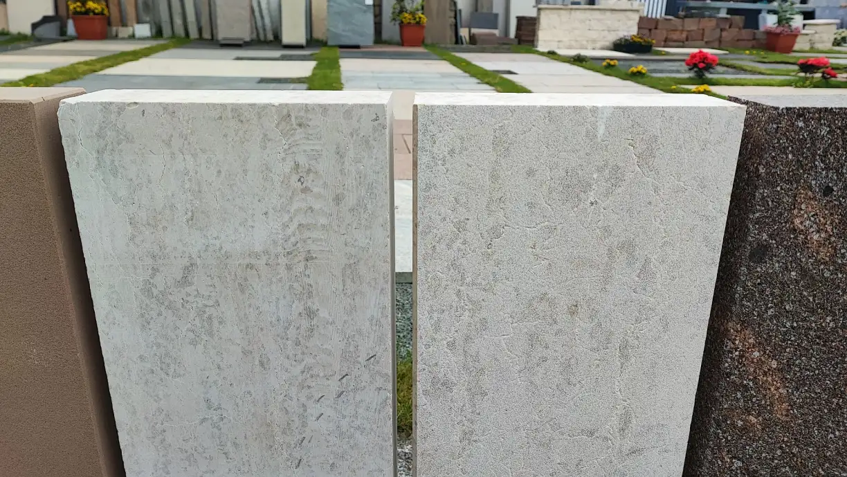 2769_Y0004EZILG.JPG
