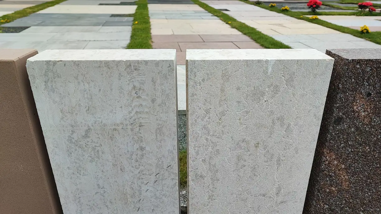 2769_Y0004EZILK.JPG